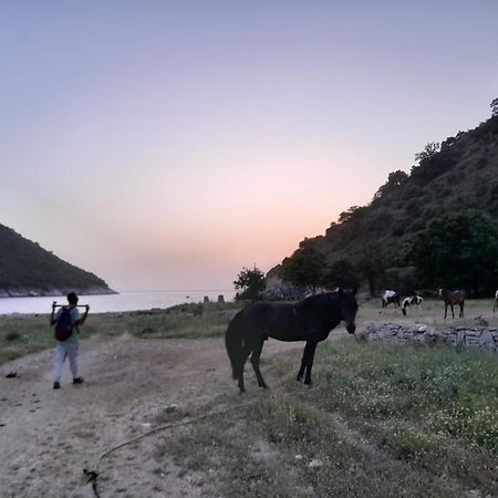 Lost Paradise Eco Camping 希马拉 外观 照片